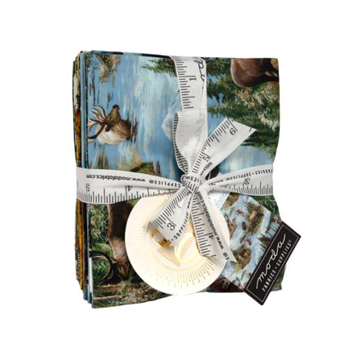 Storyline Stash image FQ-001.jpg